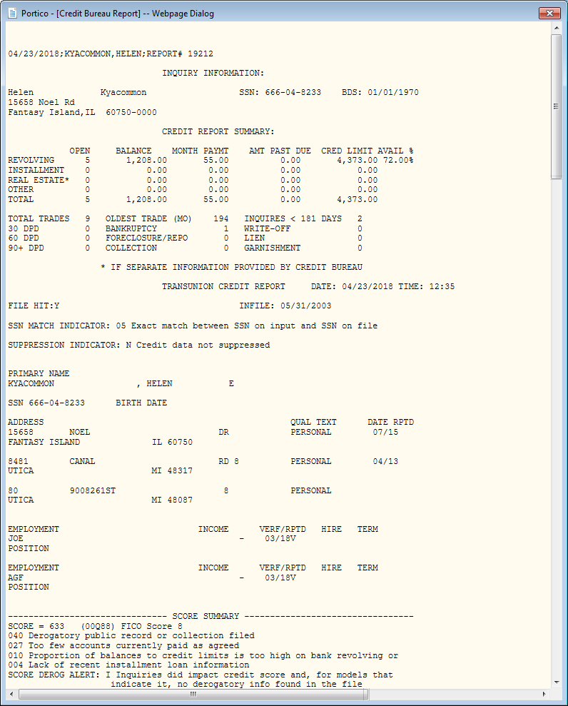 Credit Bureau Report