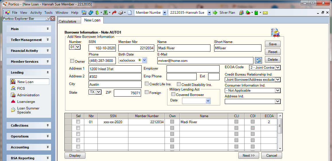 New Loan - Borrower Information